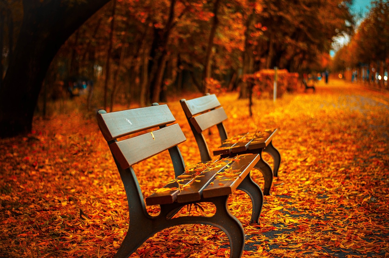 green spaces of mumbai - best parks and gardens to visit